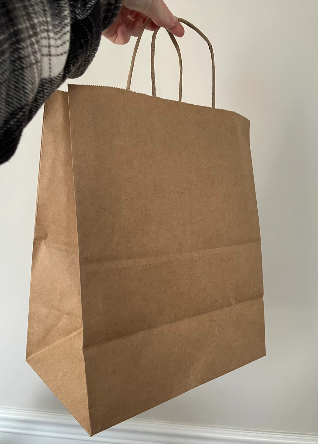 40 Paper Bags with Twisted Handles