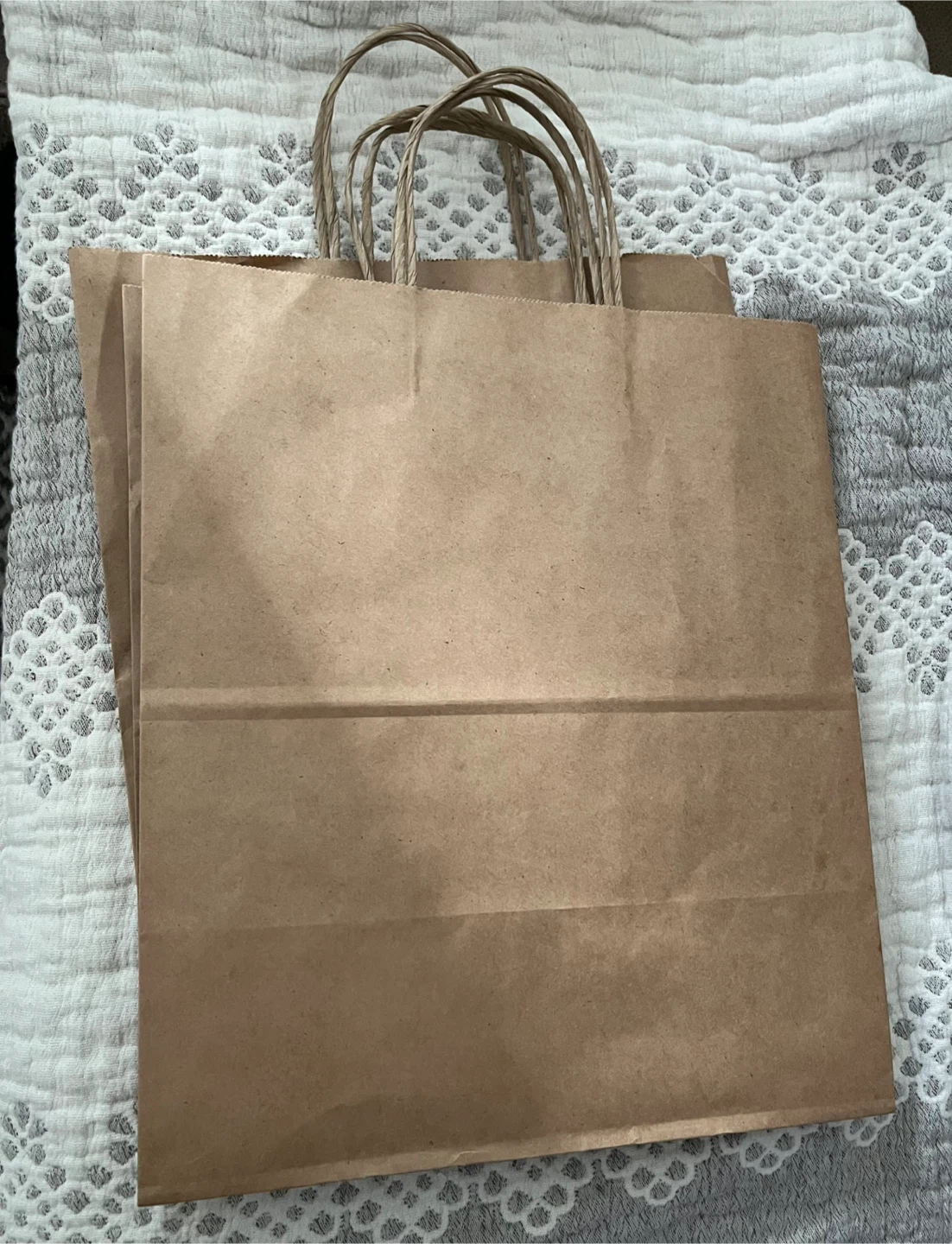 40 Paper Bags with Twisted Handles - photo 2