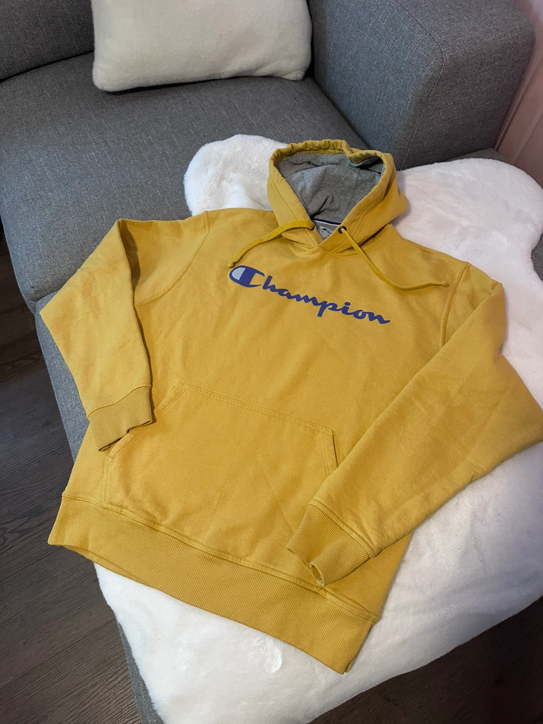 Hoodie Champion