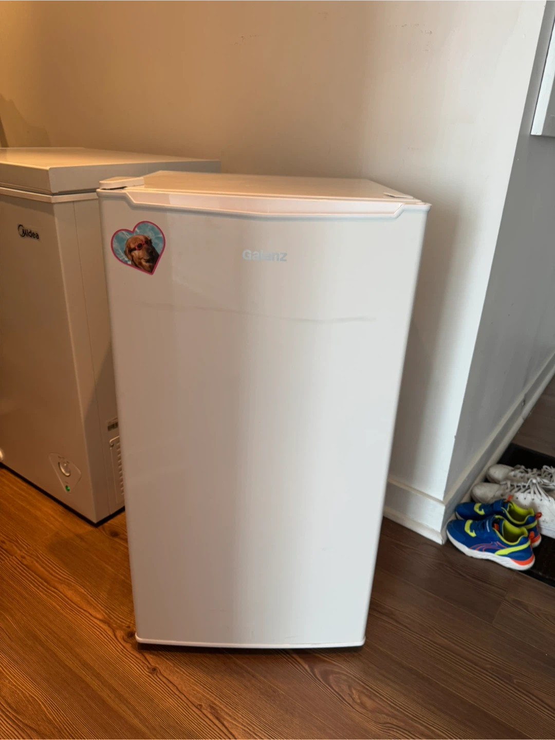 Moving sale - Galanz Mini Fridge
