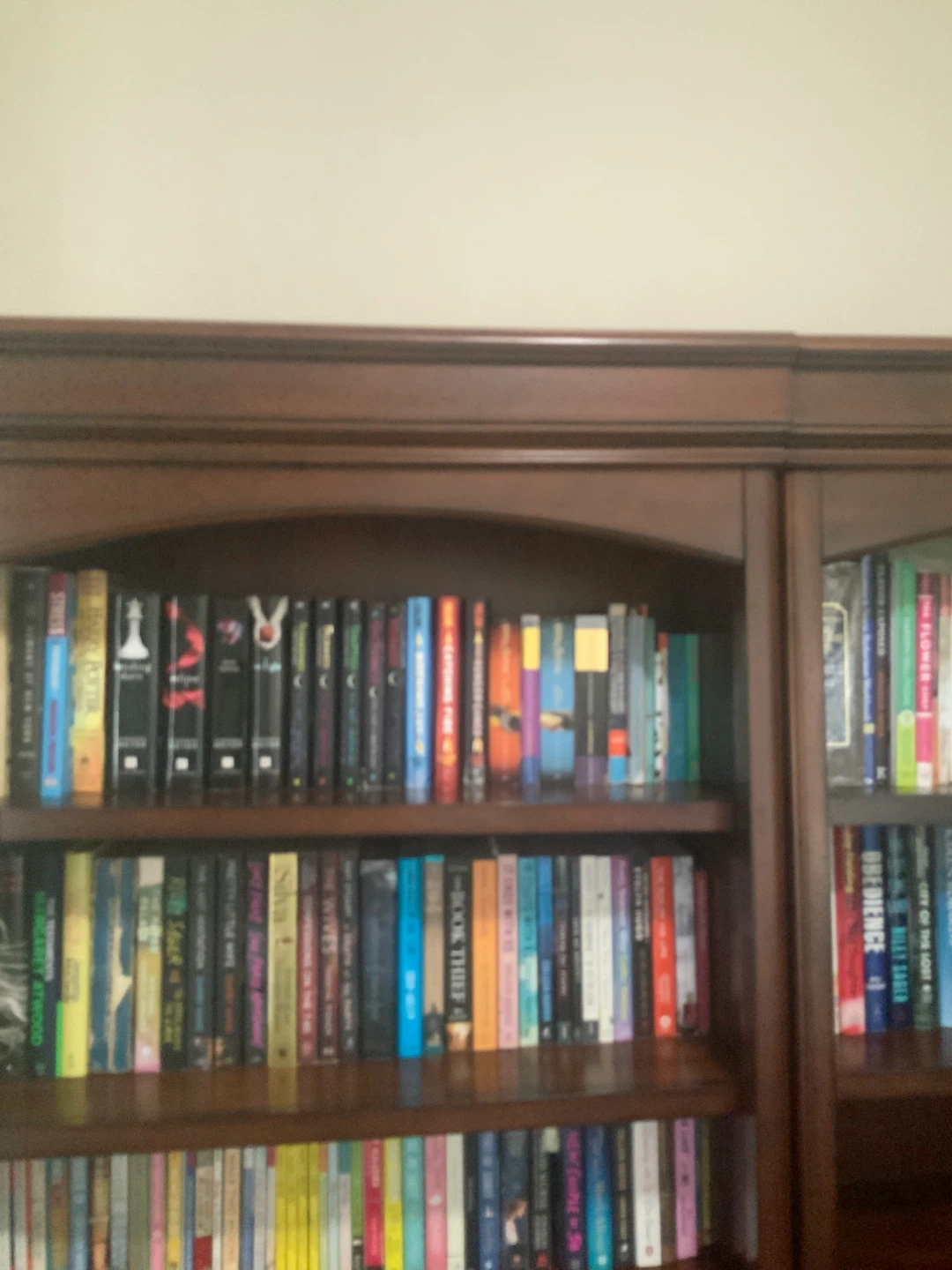 Wooden Bookcase with Doors - photo 2
