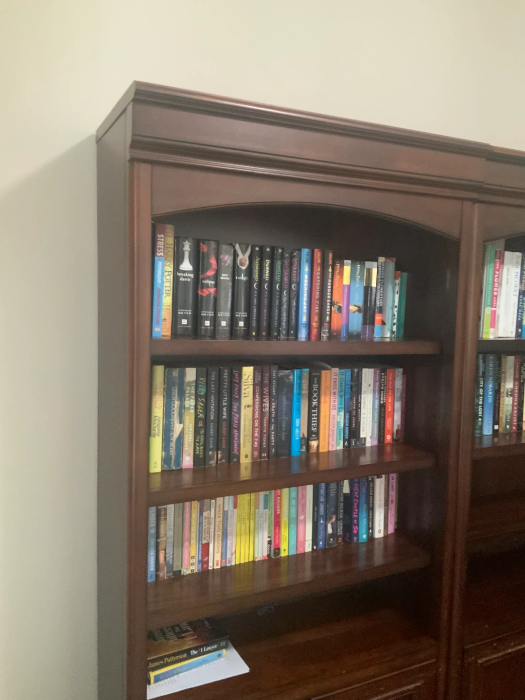 Wooden Bookcase with Doors