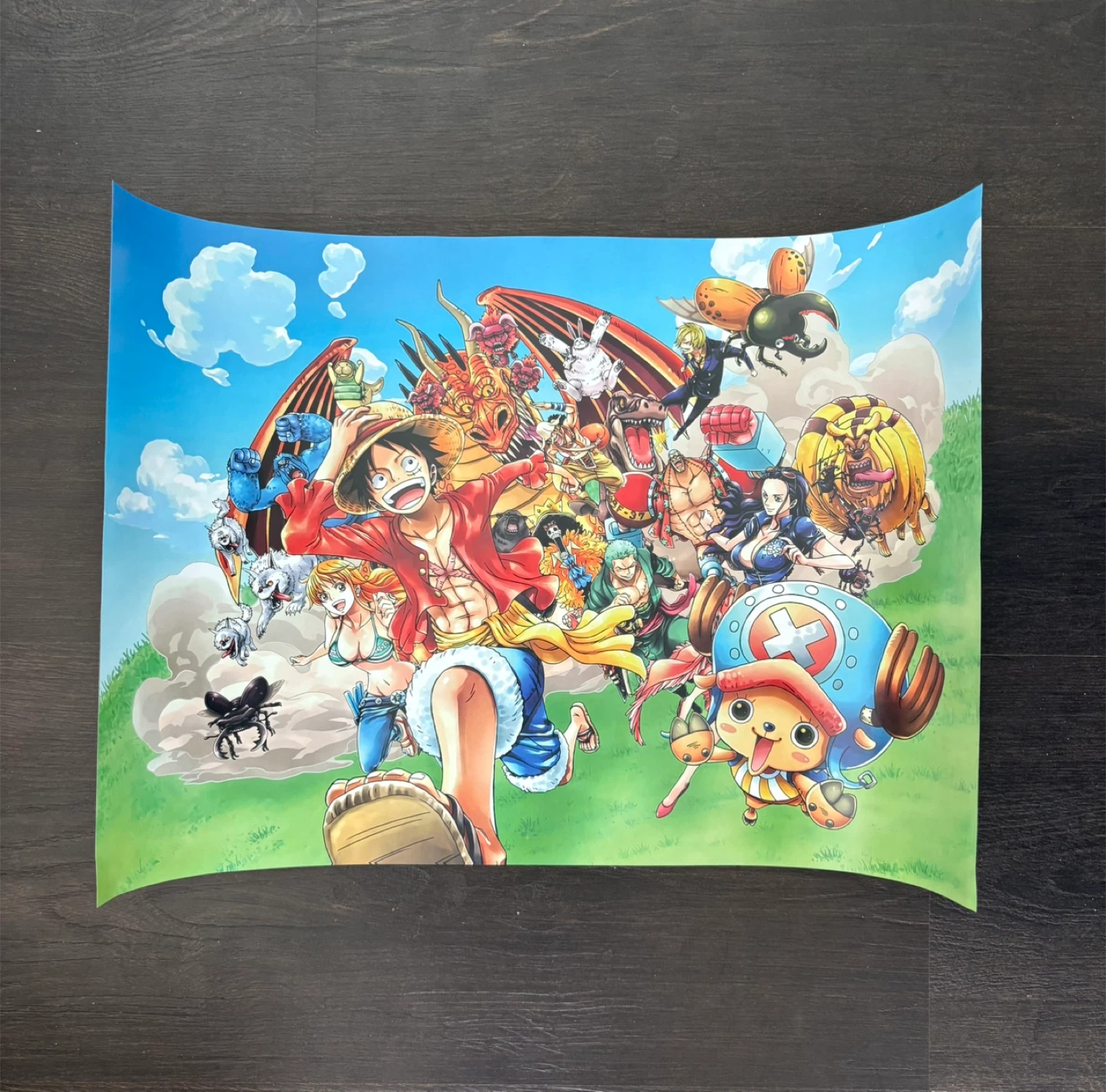 One Piece Poster (unused)