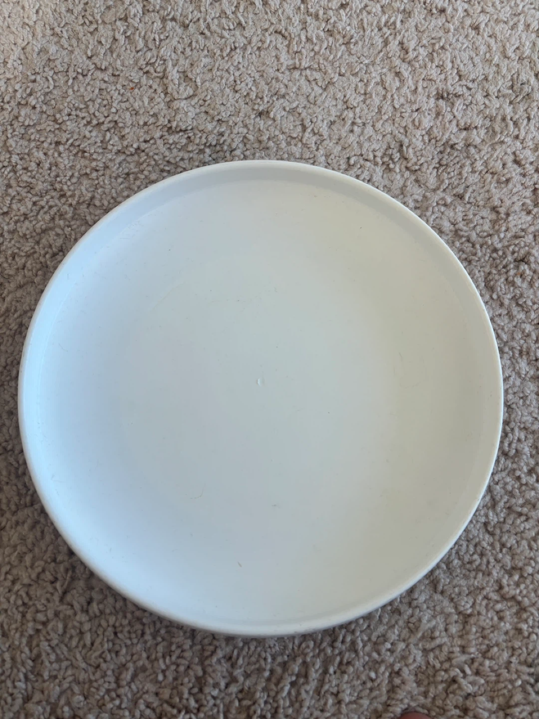 Frisbee for sale - photo 2
