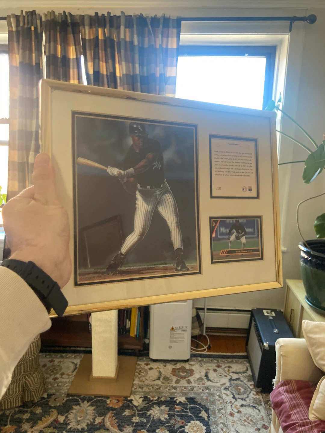Framed Frank Thomas 1993 Lithographic Print & Baseball Card - photo 2