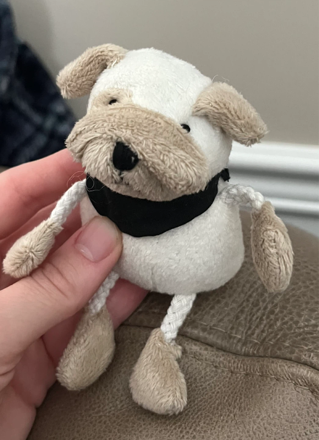 Plush Pug Dog Toy