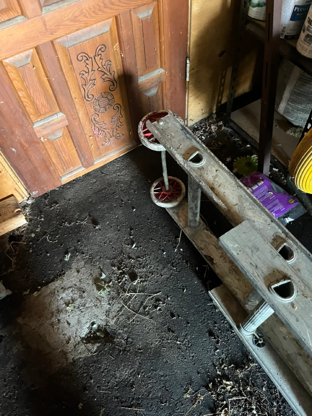 Aluminum Extension Ladder - photo 4