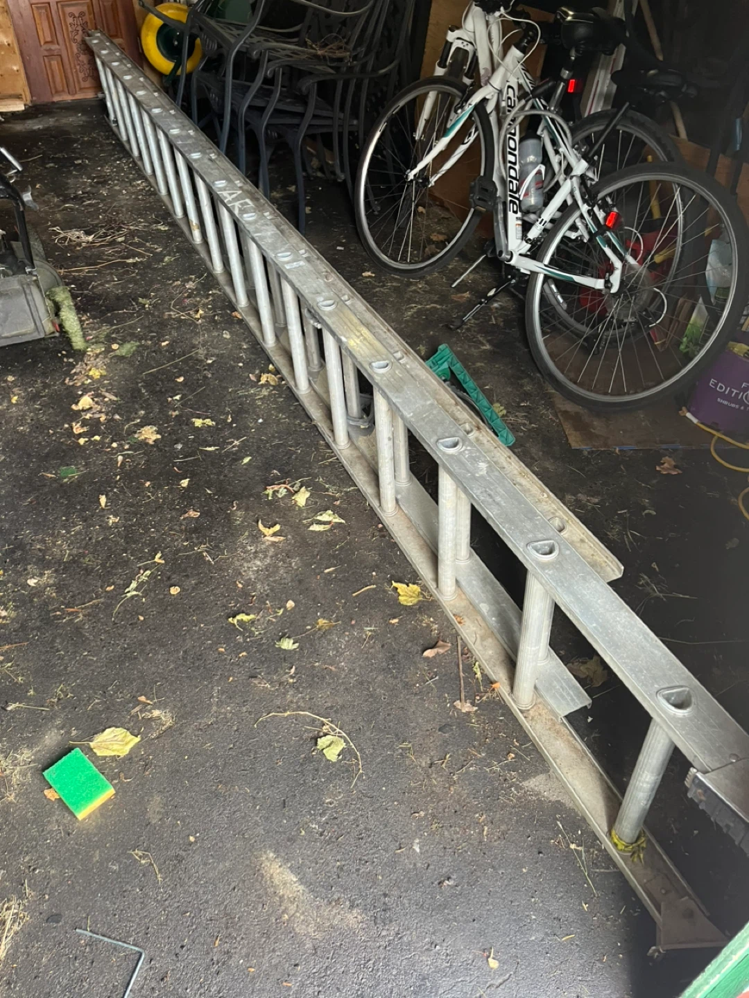 Aluminum Extension Ladder
