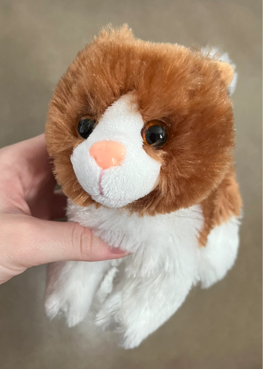 Tangerine Press Plush Cat Toy