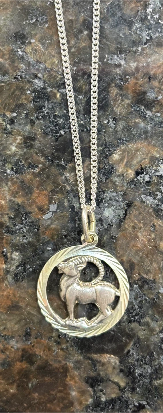 Sterling Silver Aries Pendant Necklace - photo 2