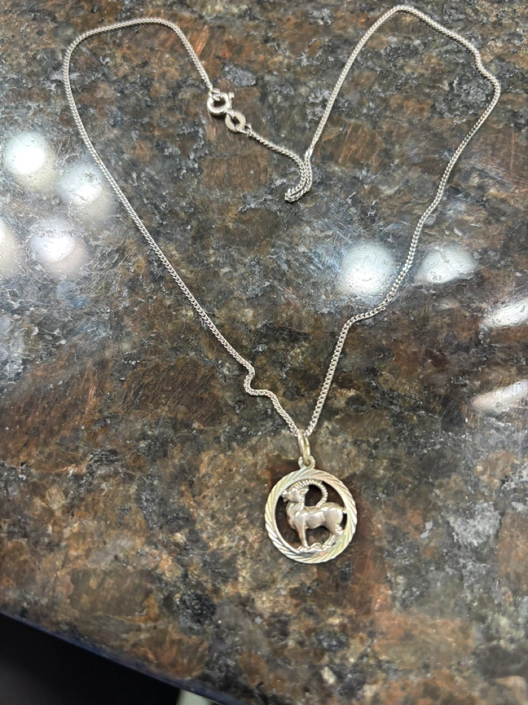 Sterling Silver Aries Pendant Necklace - photo 3