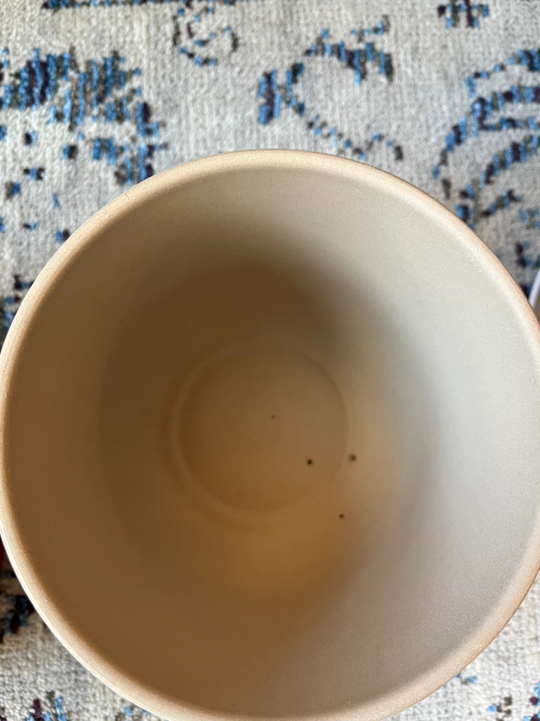 4 IKEA and Dollarama Plant Pots - photo 5