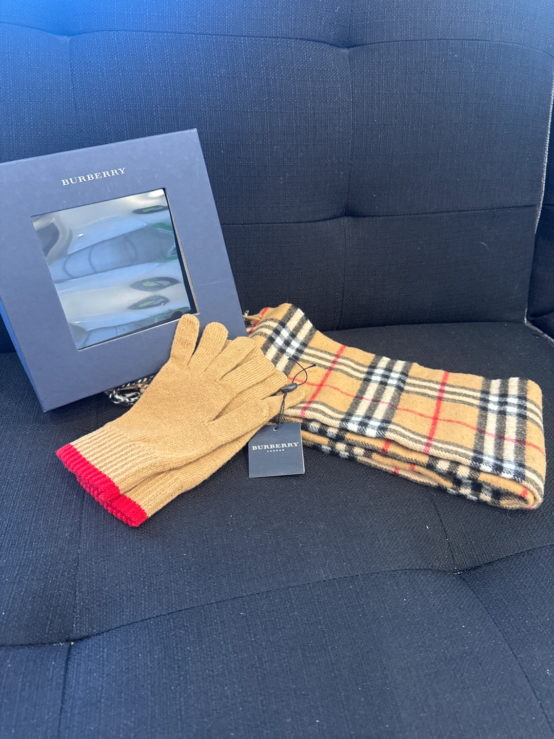 Burberry Scarf and Gloves Set