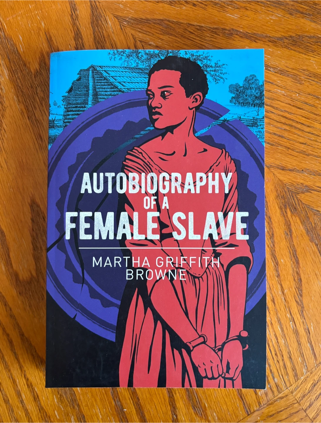 'Autobiography of a Female Slave' by Martha Griffith Browne