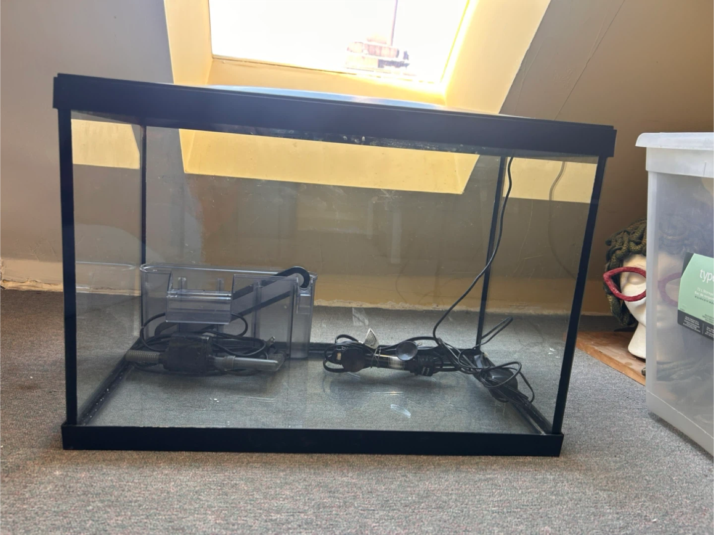 20 Gallon Aquarium