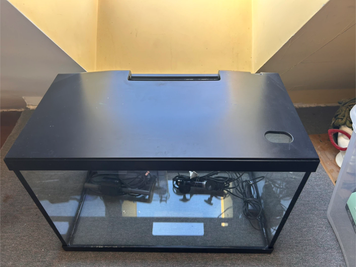 20 Gallon Aquarium - photo 2