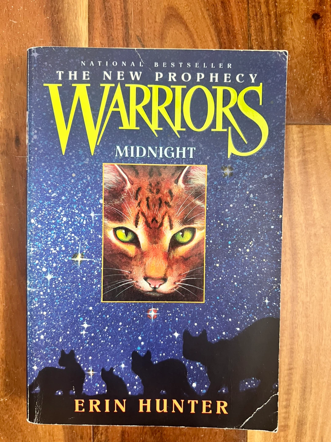 Warriors: The New Prophecy - Midnight by Erin Hunter