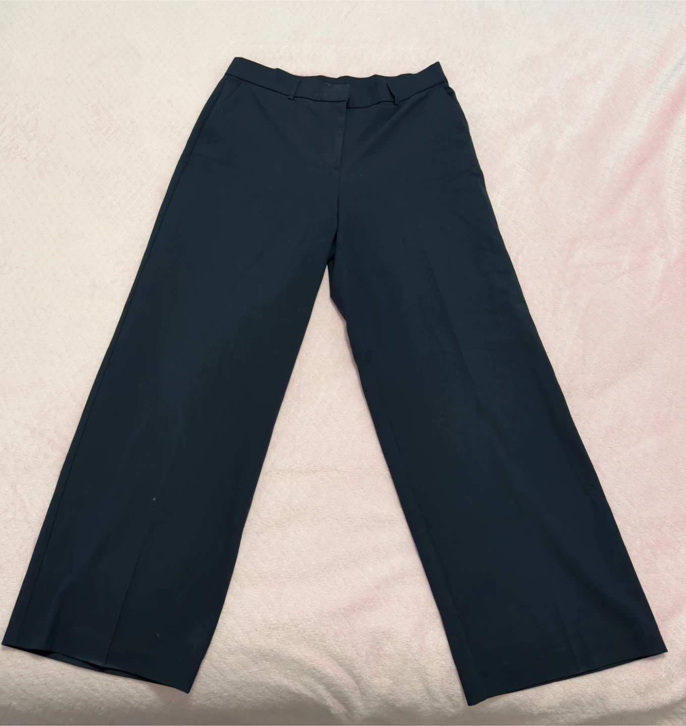 Dalia Navy Wide-Leg Pants Size 12