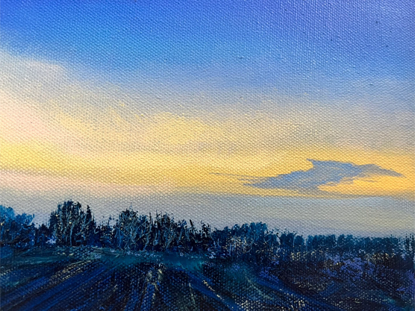 Art- Original Art- Oil Painting by Calgary Artist, 10x20x1.5 - photo 3