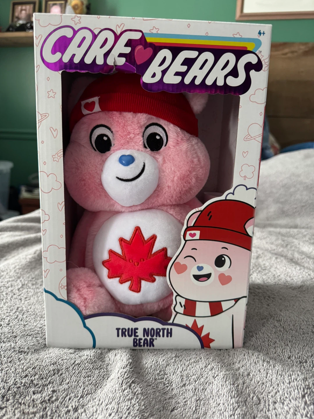 Care Bears True North Bear Plush Toy