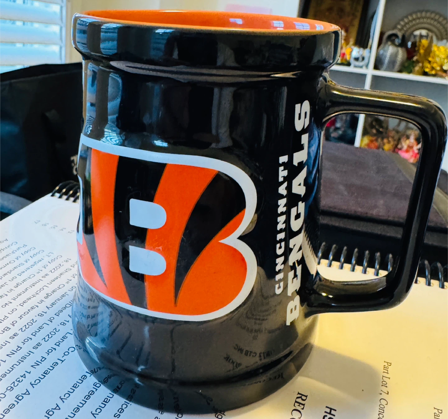Cincinnati Bengals Mug