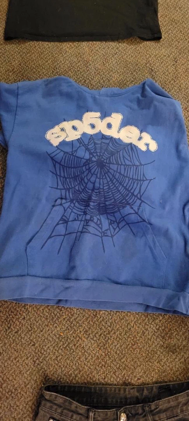 Blue Spider Web Graphic Hoodie