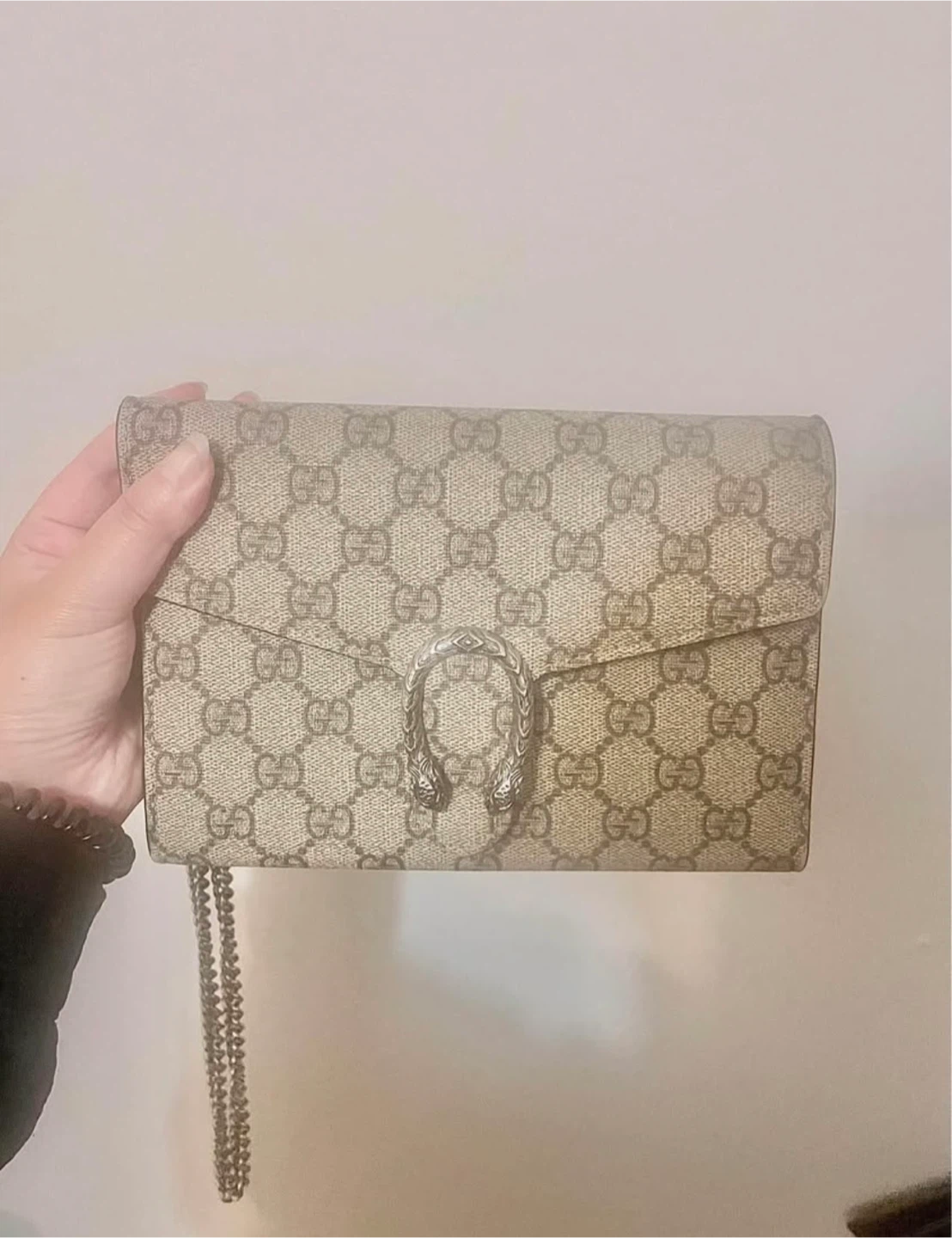 Gucci Dionysus Wallet on Chain Bag