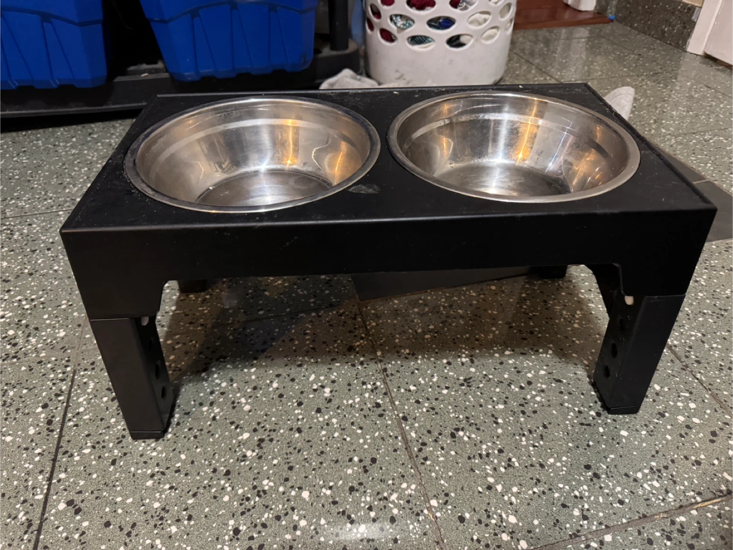 Black Raised Pet Feeder with 2 Stainless Steel Bowls