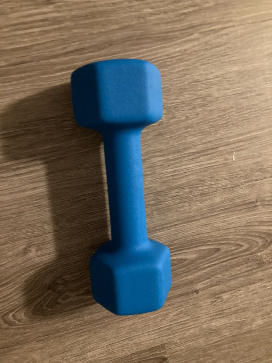 GoZone 10 lb Dumbbell