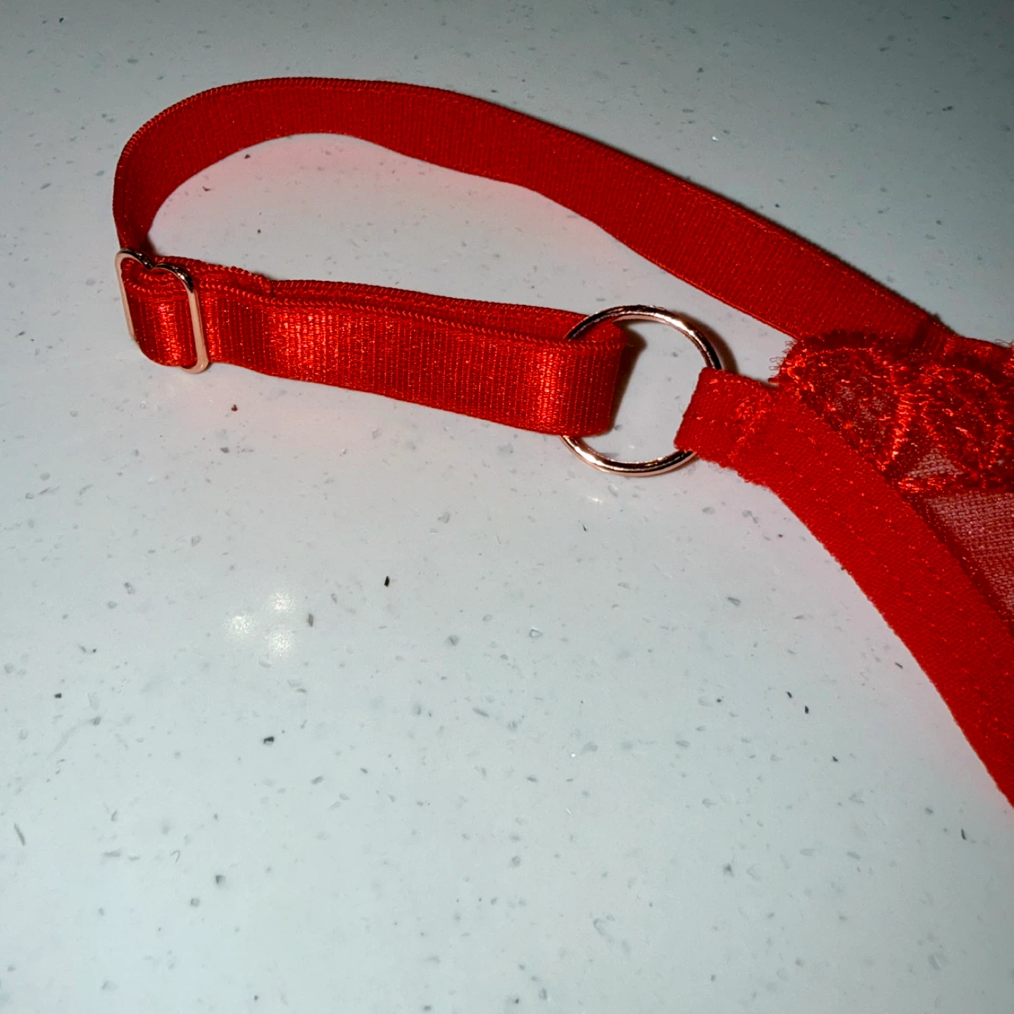 NEW Mesh Embroidered Red Thong - Medium - photo 4
