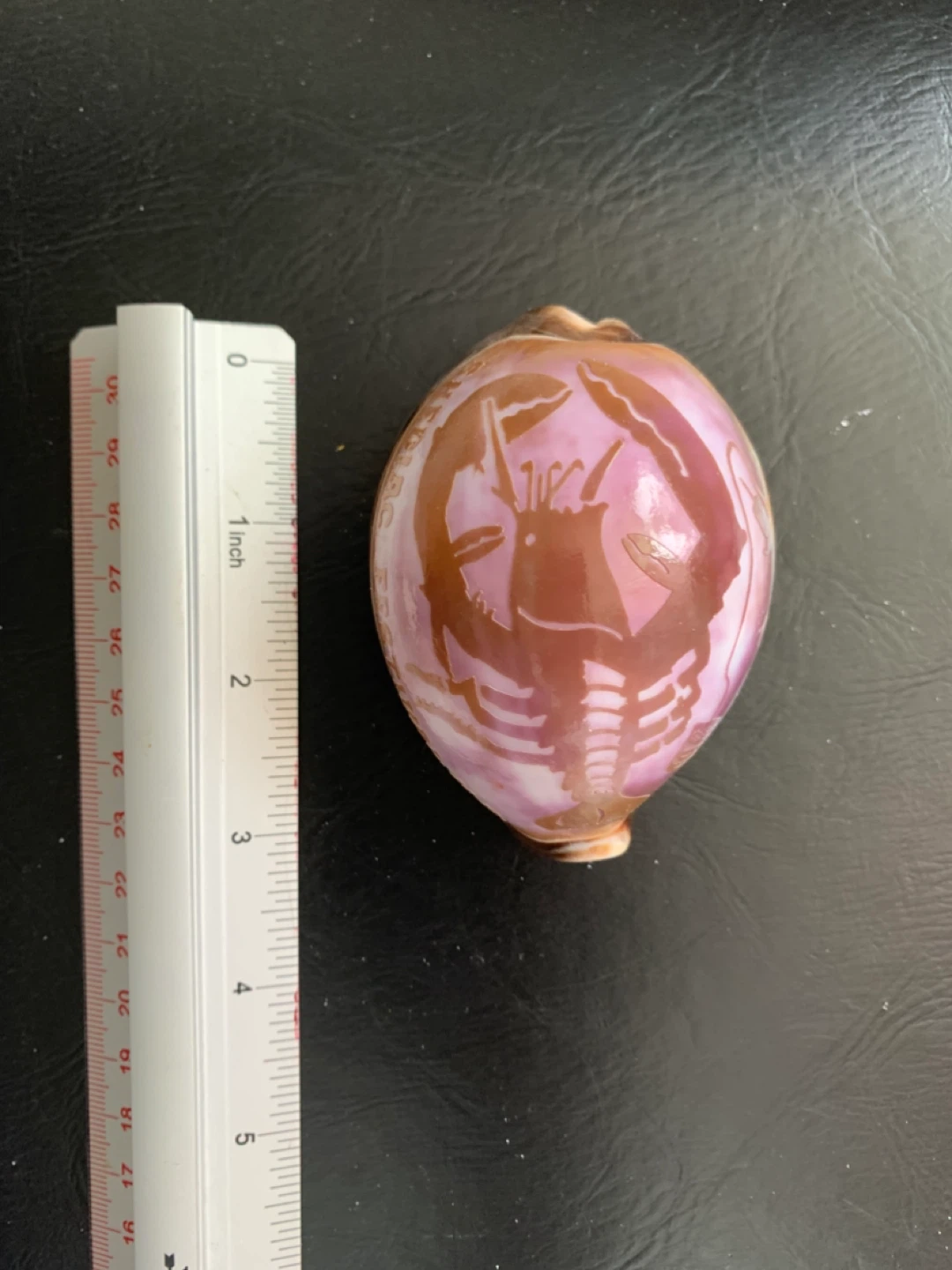Mauve Helmet Shell from ‘Shediac Festival’ - photo 4