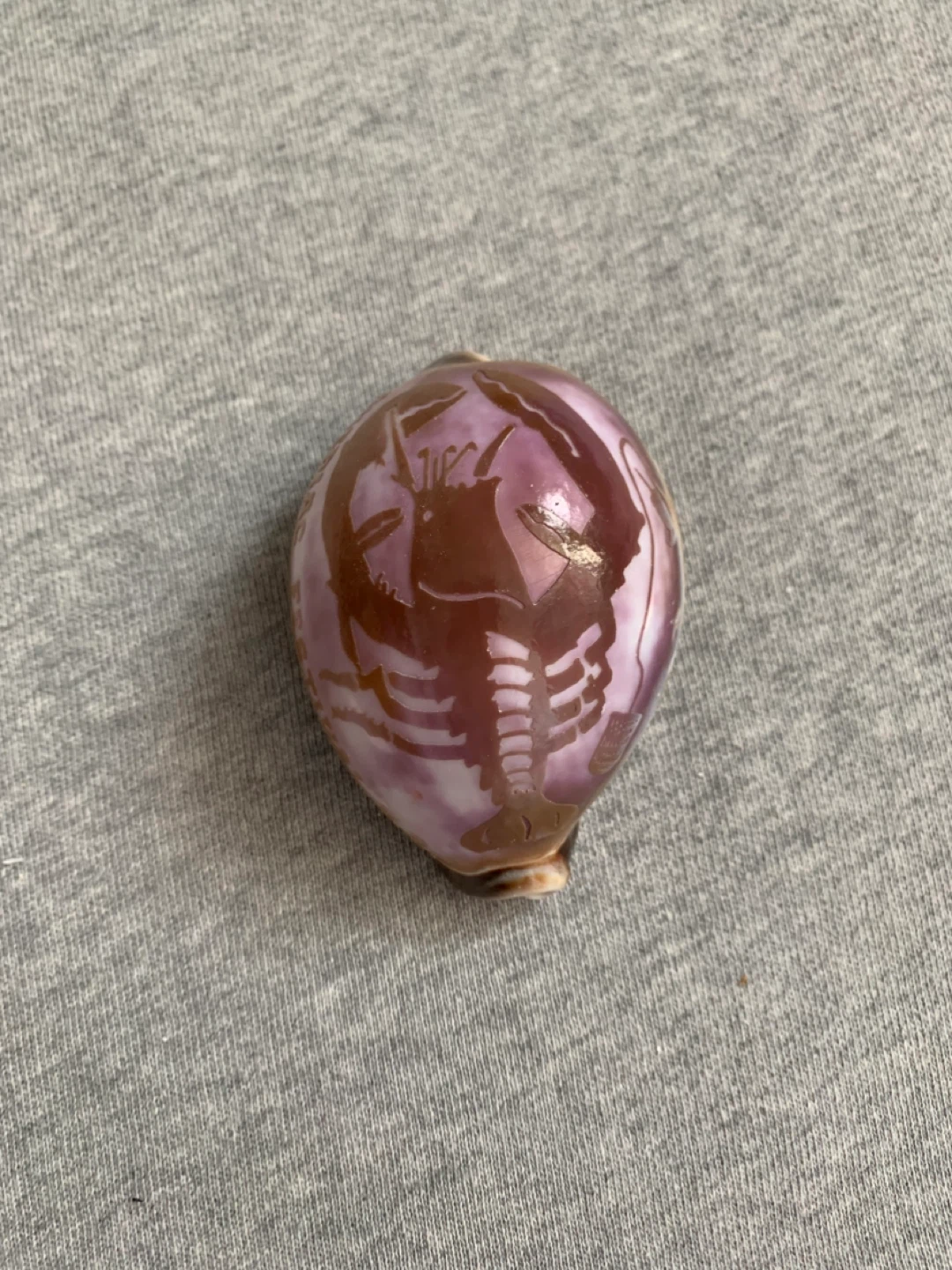 Mauve Helmet Shell from ‘Shediac Festival’