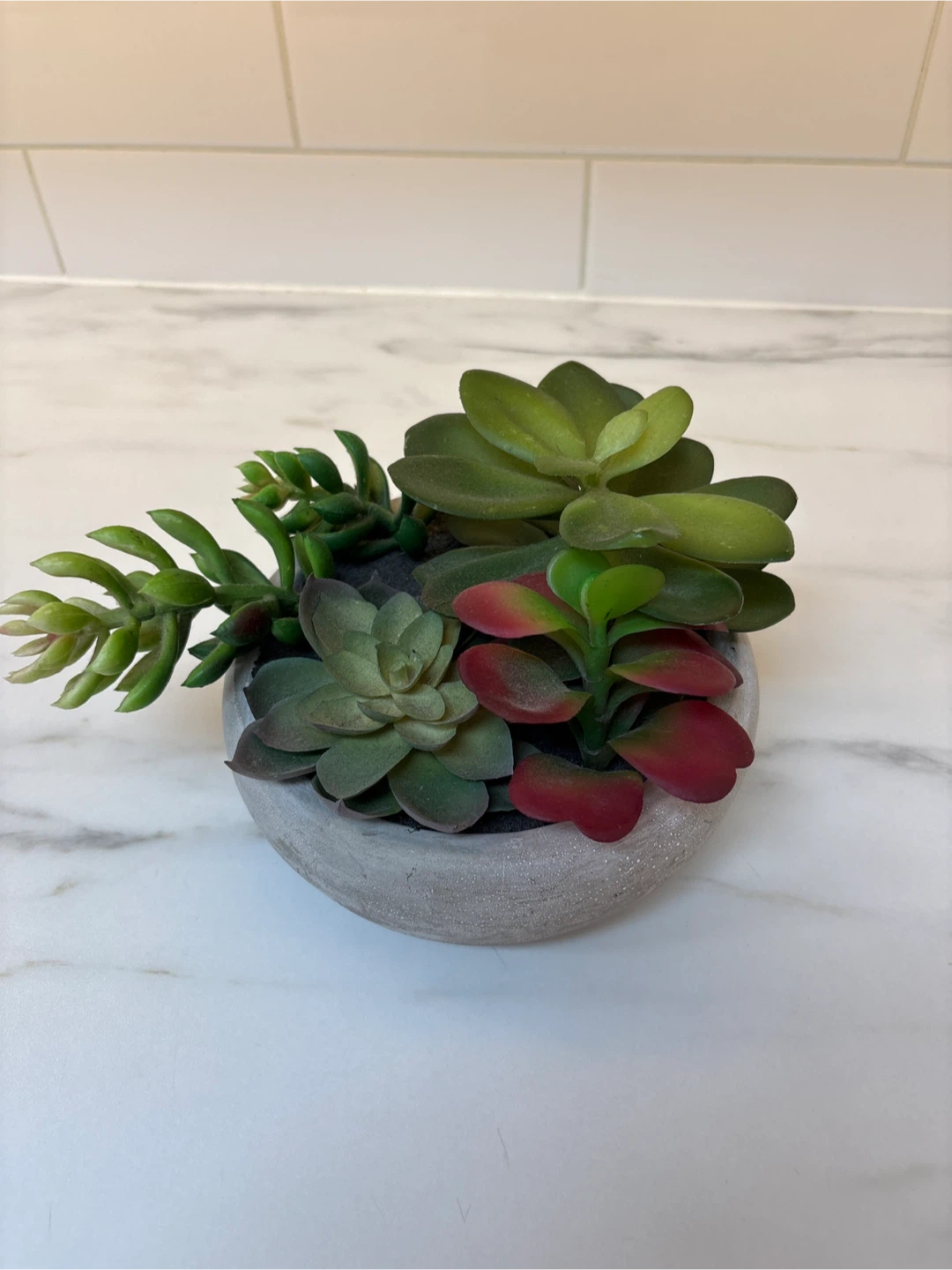 Artificial Succulent Arrangement in Gray Pot