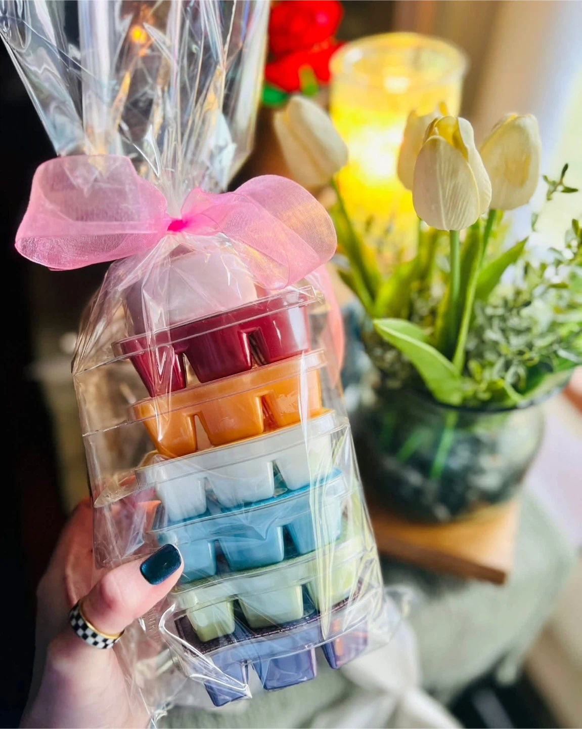 Scentsy Classic Rainbow Bundle!