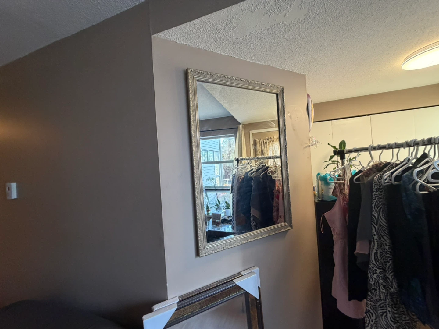 Ornate Wall Mirror