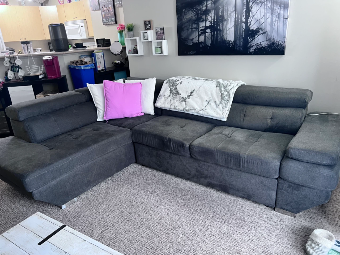 Sectional sofa with double sleeper and storage and usb