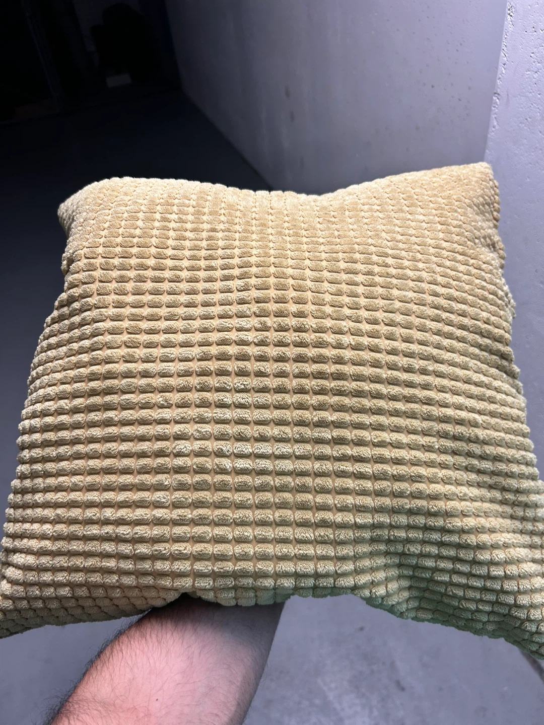 Decorative Pillows 2 PCS - photo 2
