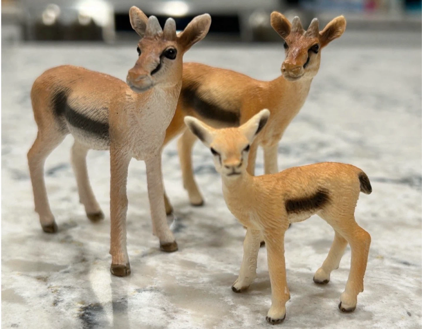 Schleich Safari/Jungle Animal Collector Toys ($ in description) - photo 5