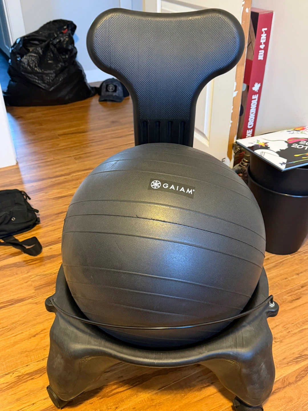 Gaiam Exercise Stability Ball Chair