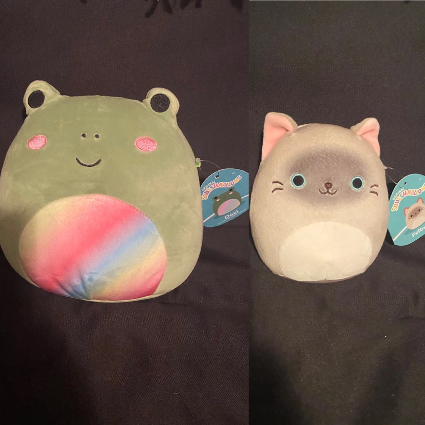 Squishmallows Frog and Cat Plush toys new with tags