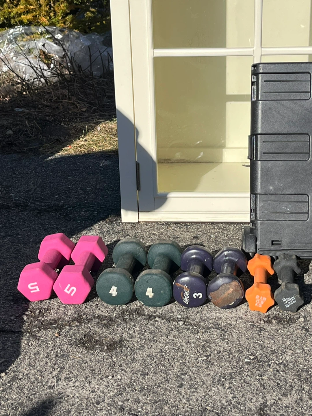 Set of Dumbbells
