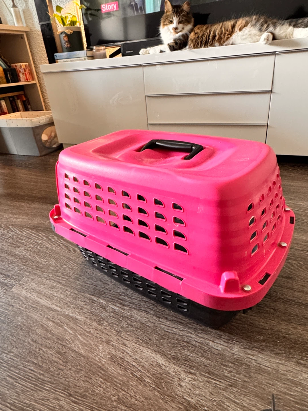 Petmate Pink Pet Carrier - photo 3