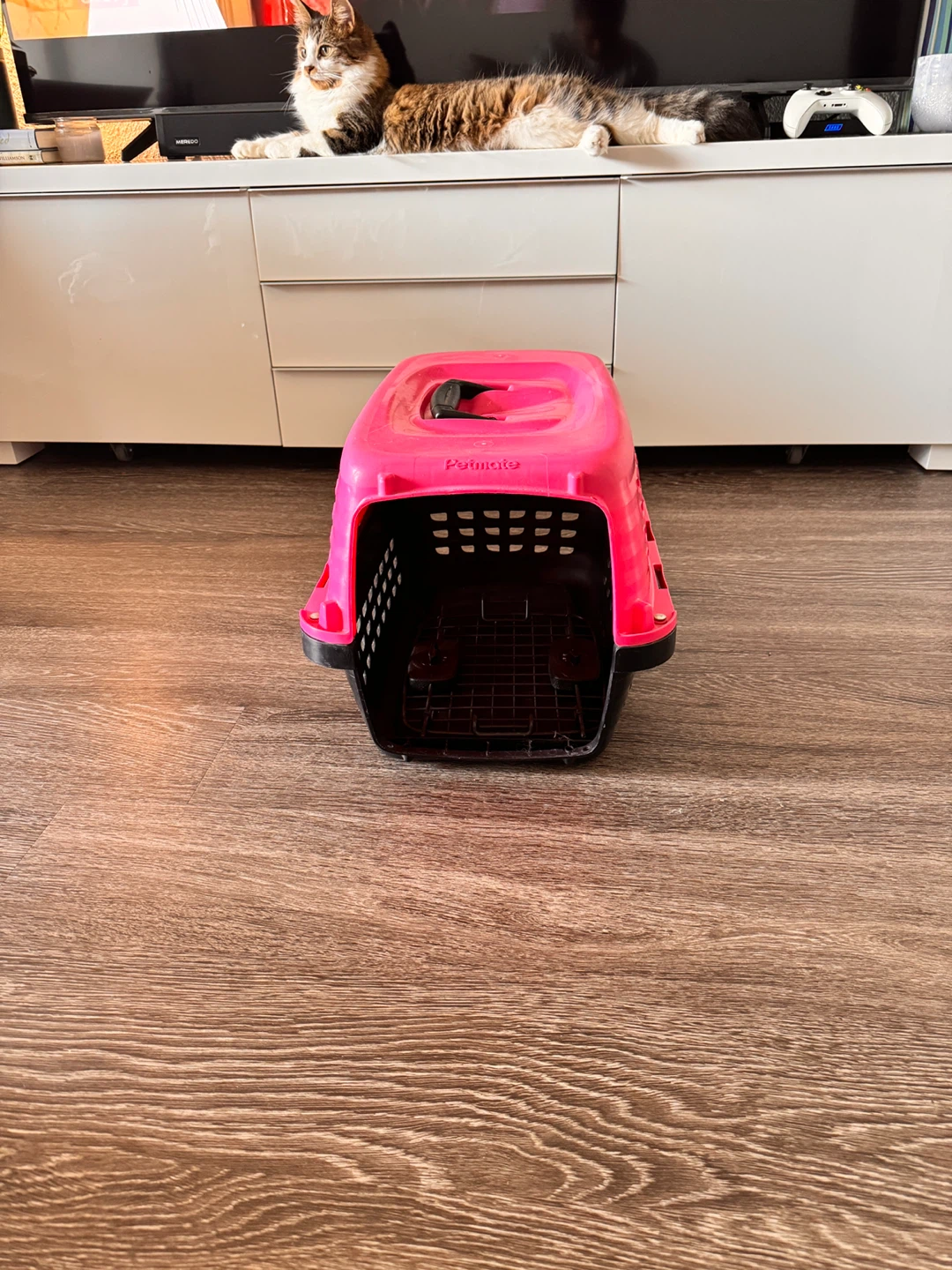 Petmate Pink Pet Carrier