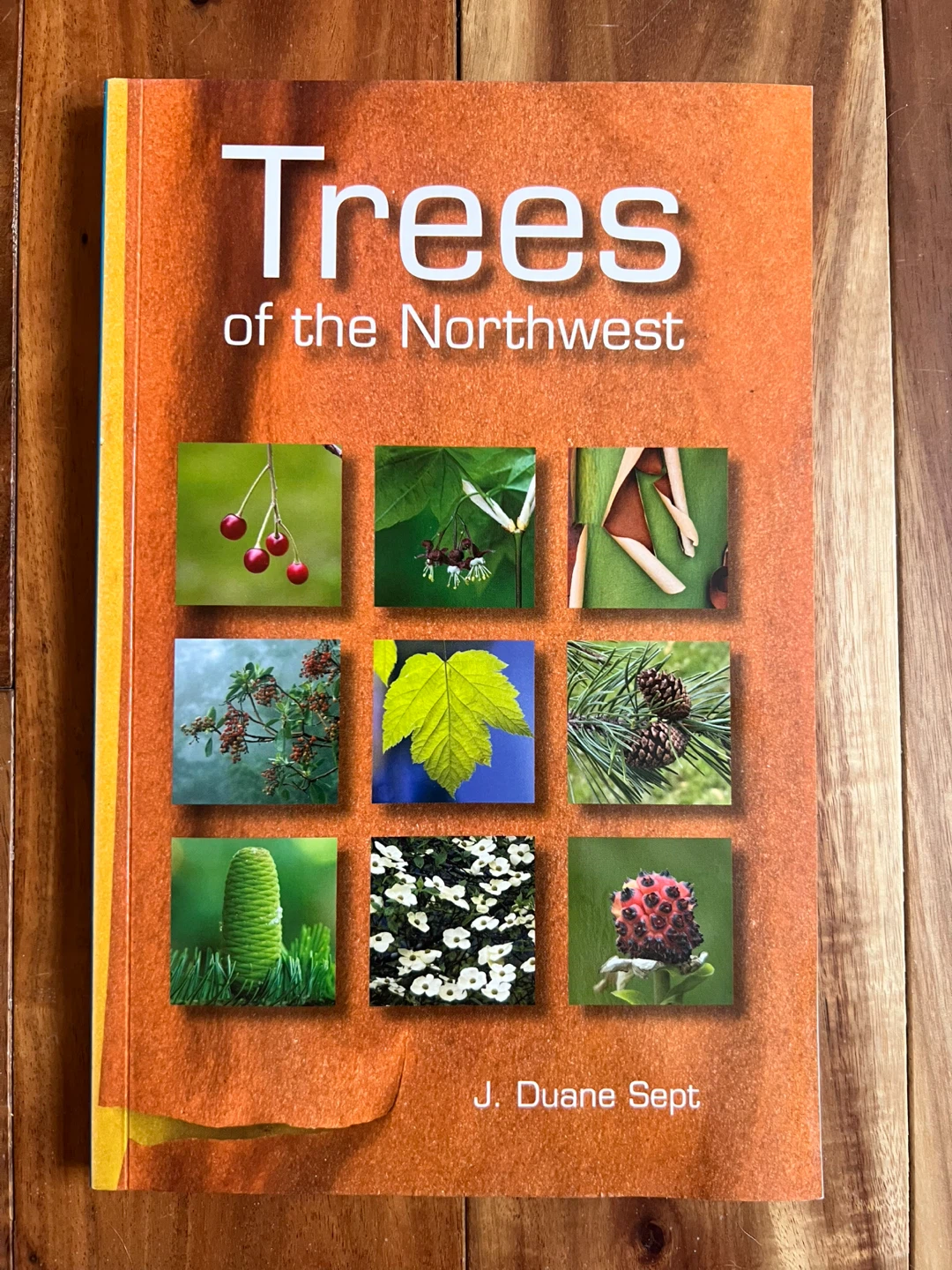 Trees of the Northwest Book