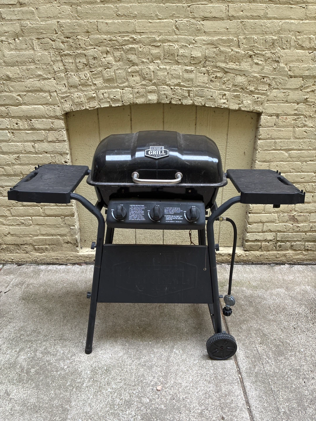 Expert Grill 2-Burner Propane Gas Grill