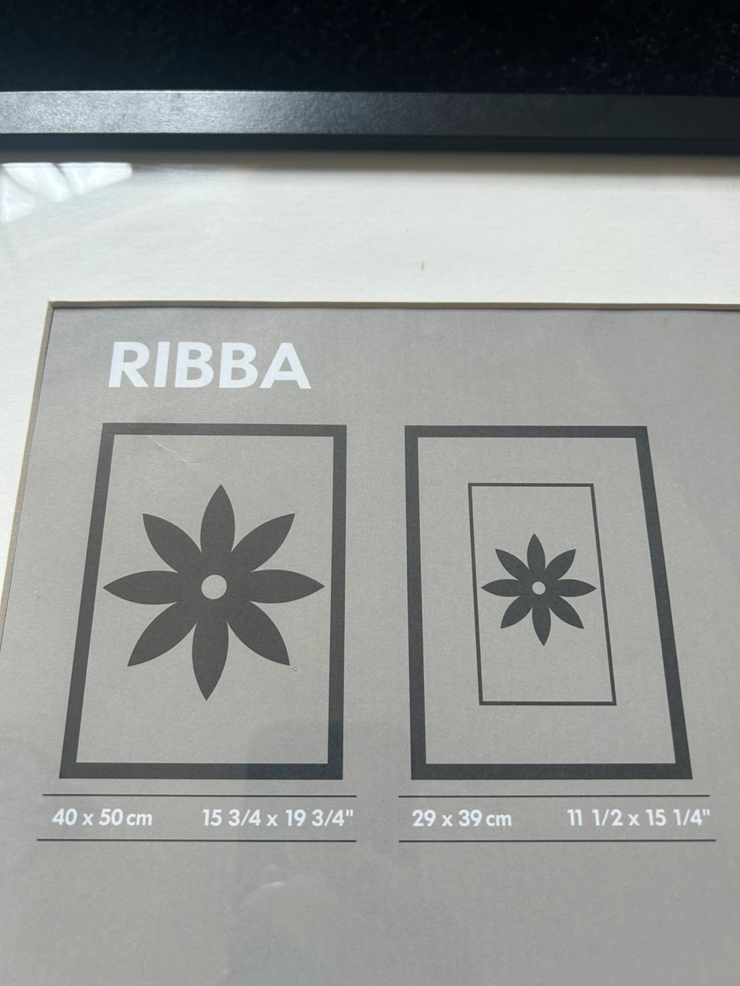 IKEA RIBBA Glass Picture Frame Black 40x50 cm