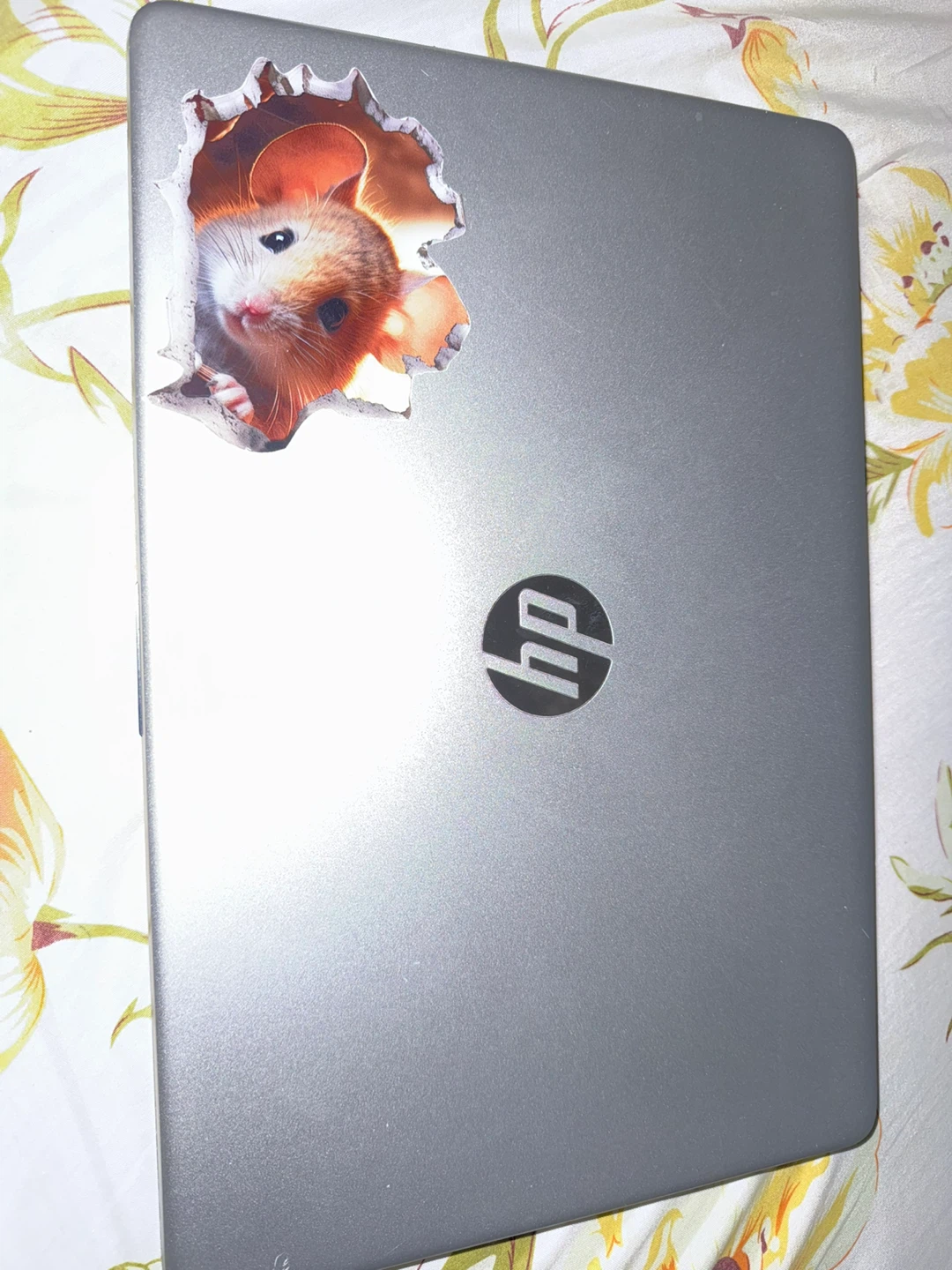 HP Laptop 15-dw touch screen