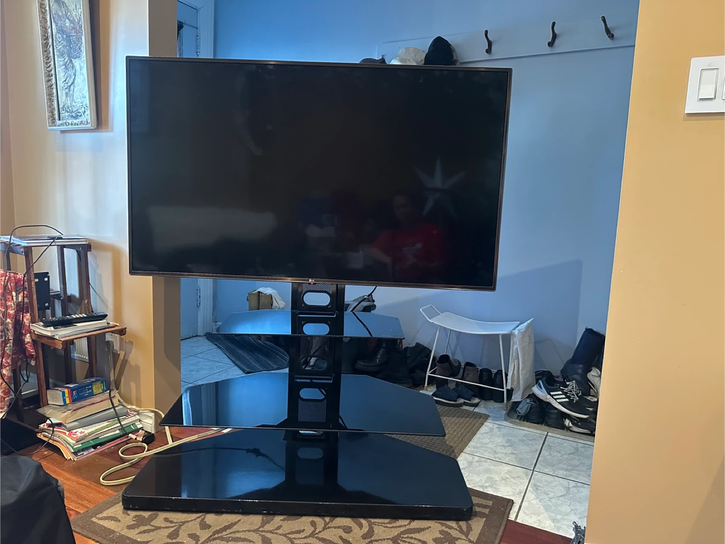 LG 55" TV + Stand with 3 Shelves