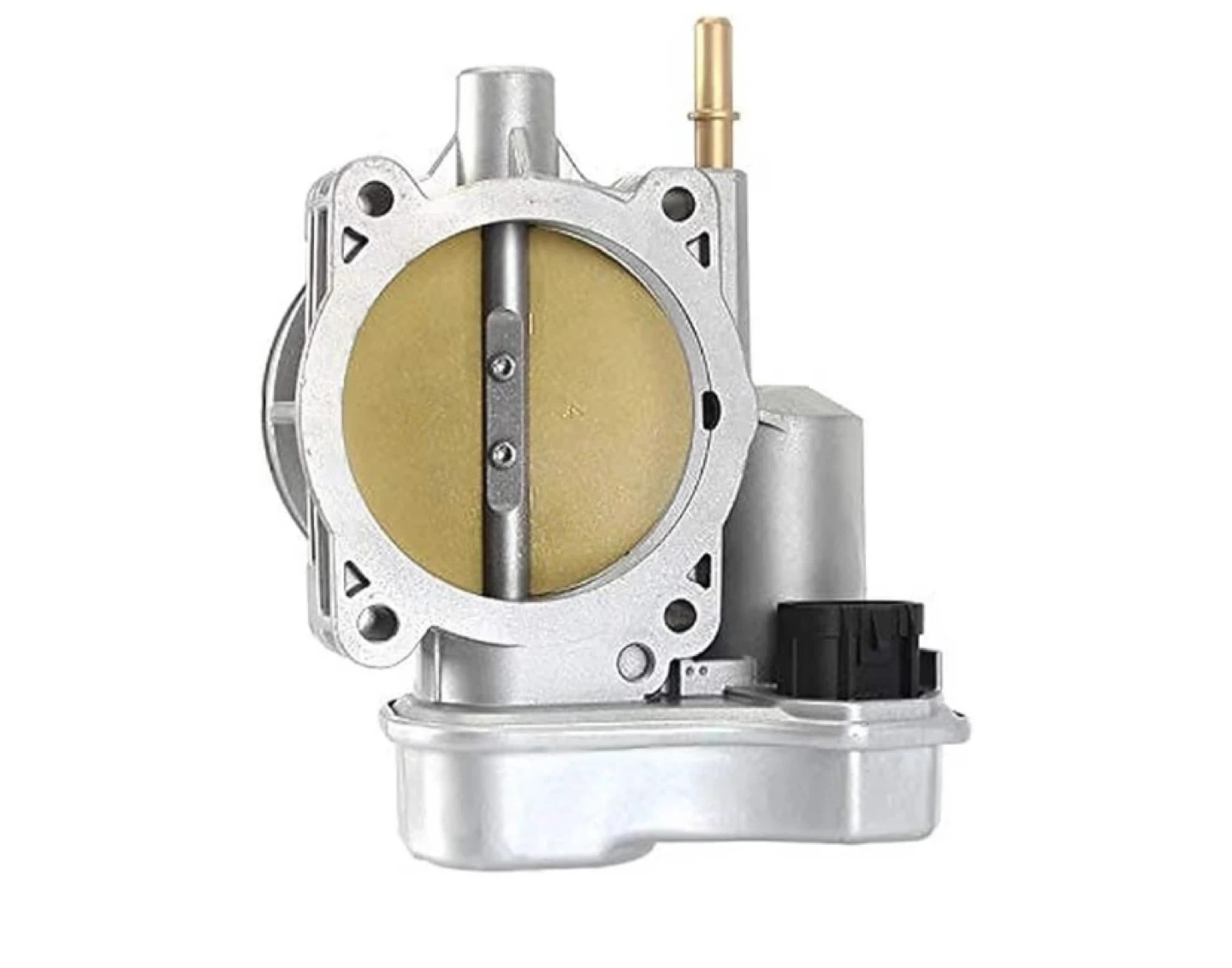 Throttle Body Assembly