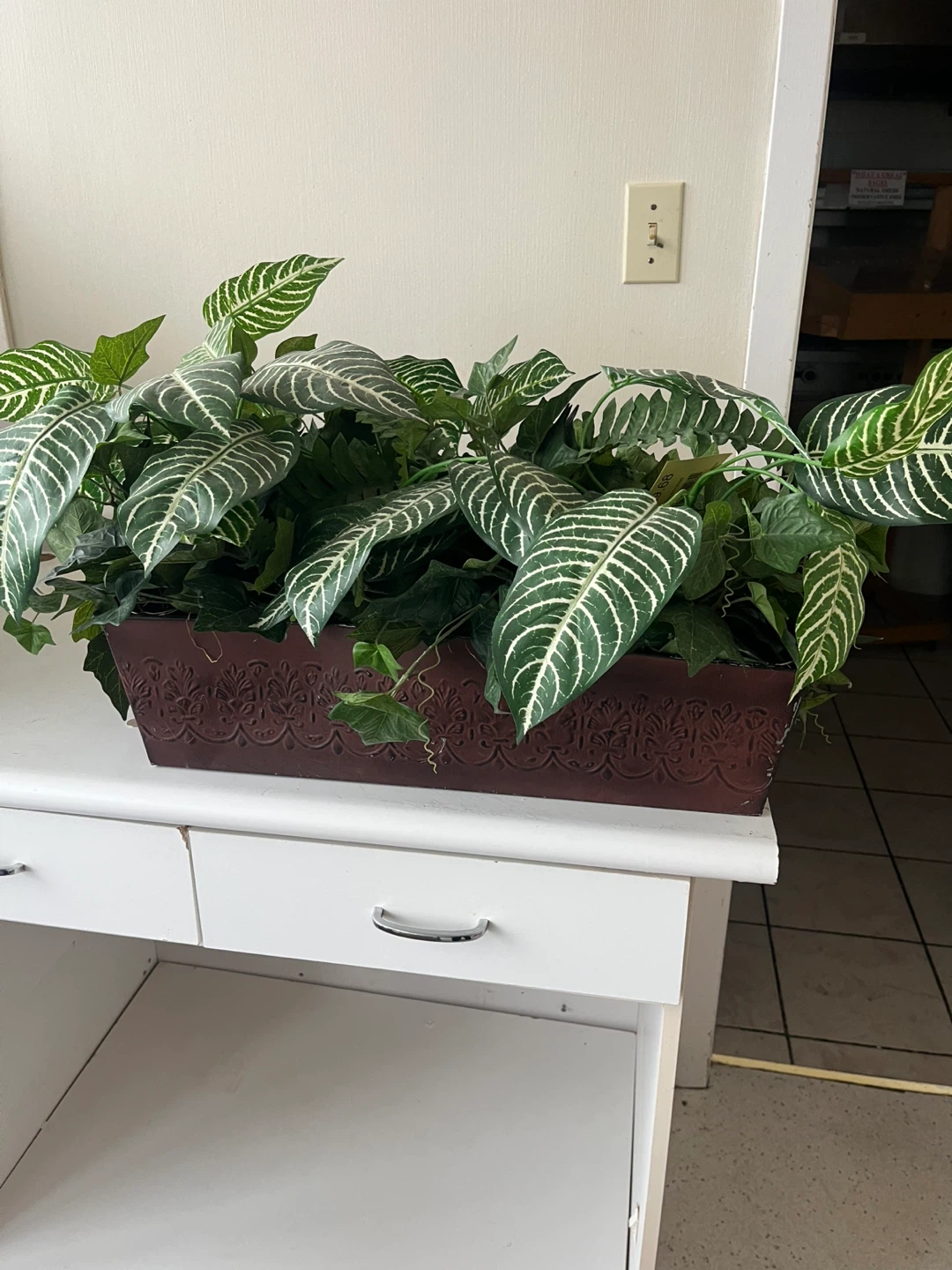 Faux Potted Plant with Zebra and Ivy Leaves